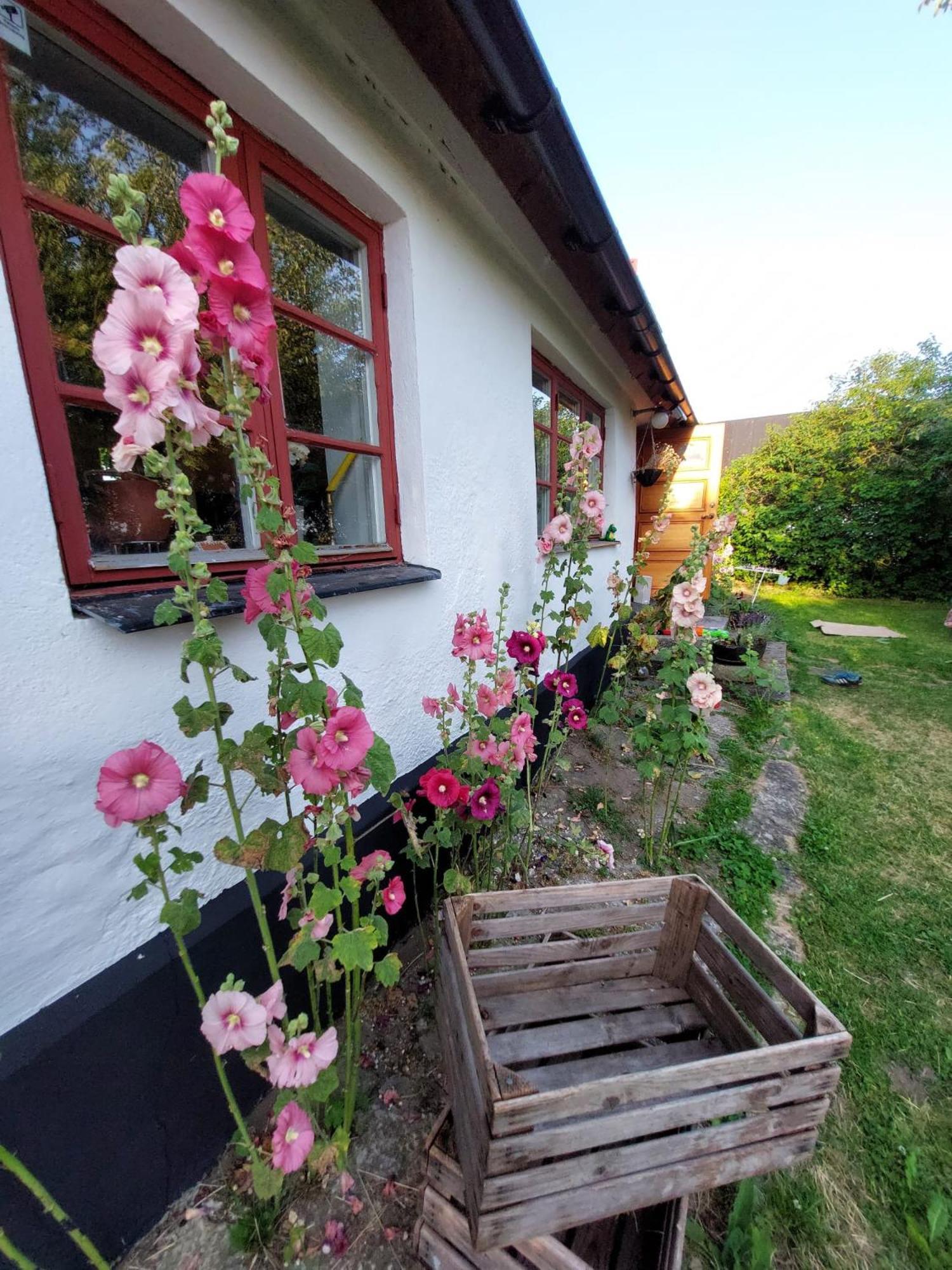 Ferienhaus Fridfullt Sommarhus Mitt Pa Oesterlen Gärsnäs
