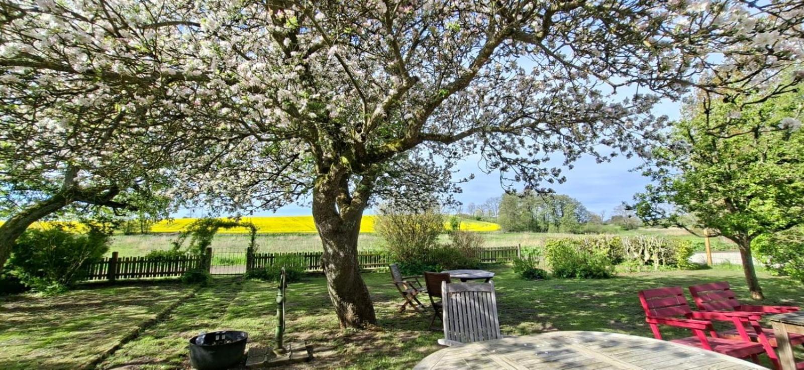 Fridfullt Sommarhus Mitt Pa Oesterlen