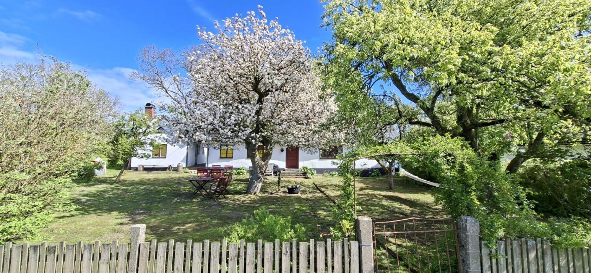 Ferienhaus Fridfullt Sommarhus Mitt Pa Oesterlen *